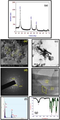 Improvement of maize drought tolerance by foliar application of zinc selenide quantum dots